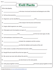 Plant and Animal Cell Worksheets