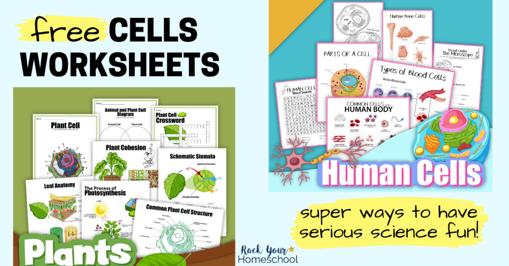 Free Cells Worksheets for Super Fun Science Activities for Kids