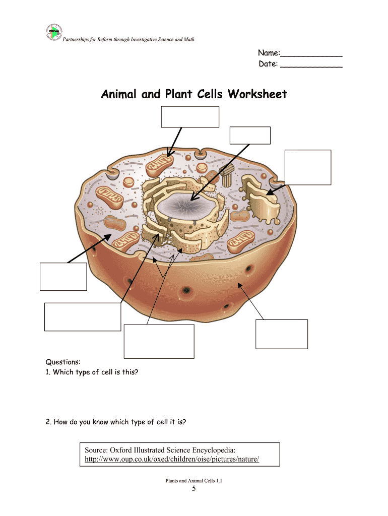 Plant Cell And Animal Cell Worksheet Answer Key Pdf - Fill Online ...