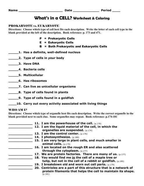 Whats in a CELL- Worksheet &   Coloring