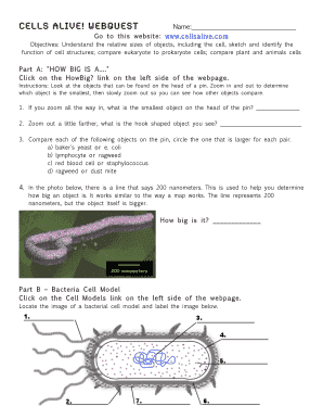 cells alive worksheet answers