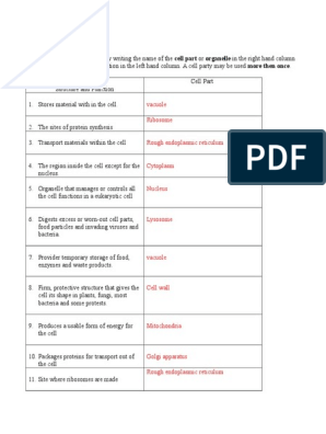 Cell Organelles Worksheet: Vacuole Ribosome | Télécharger ...