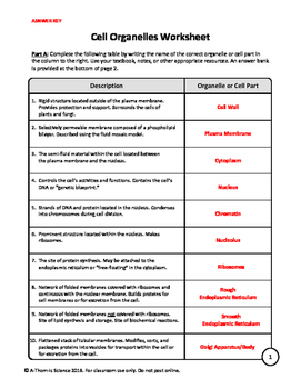 cells and organelles worksheet