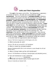 cells and organelles.doc - Cells and Their Organelles The cell is ...