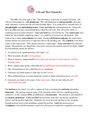 cells and their organelles worksheet answers