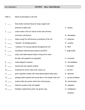cells organelles worksheet answer key