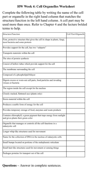 cells organelles worksheet