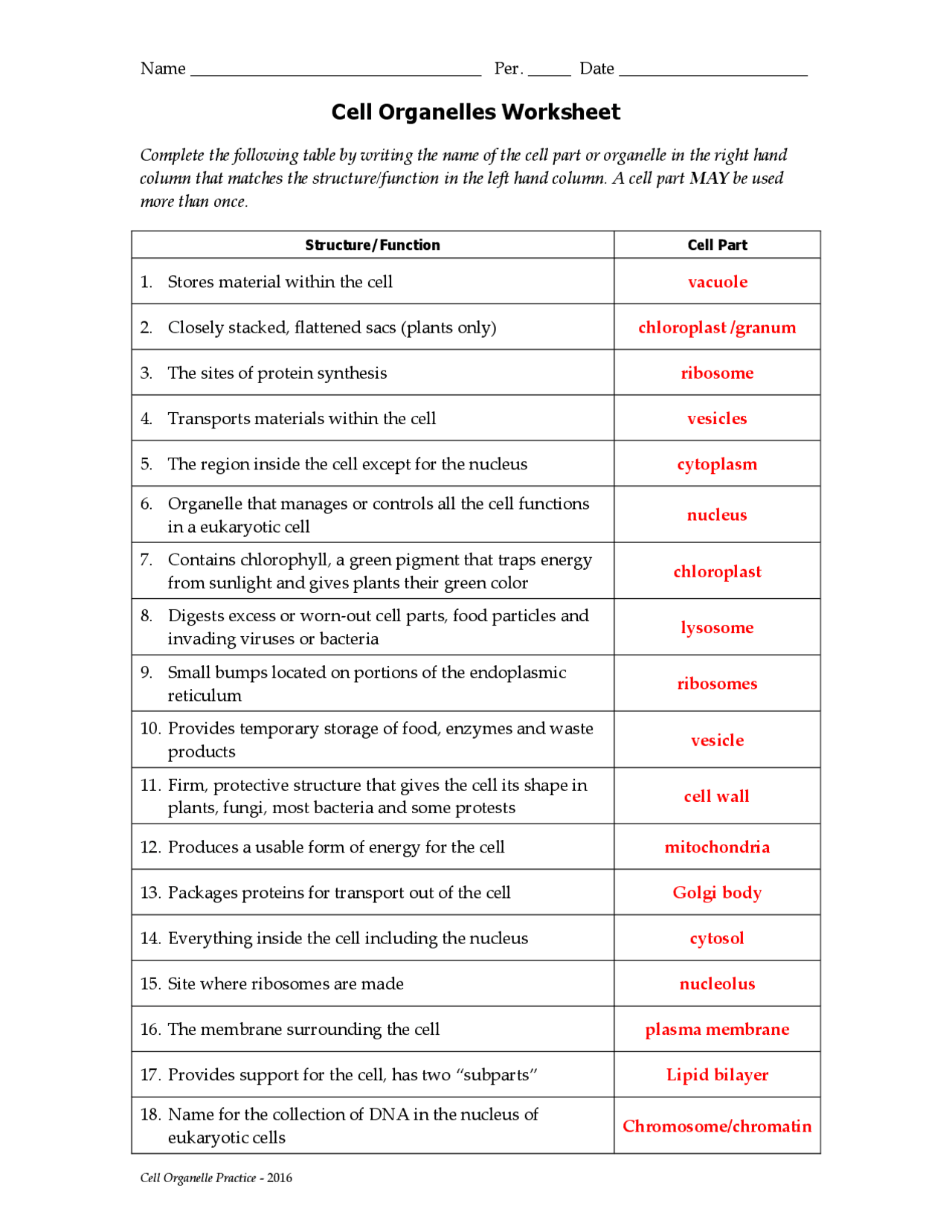 cells organelles worksheet