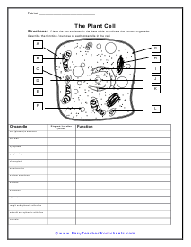 Cell Worksheets