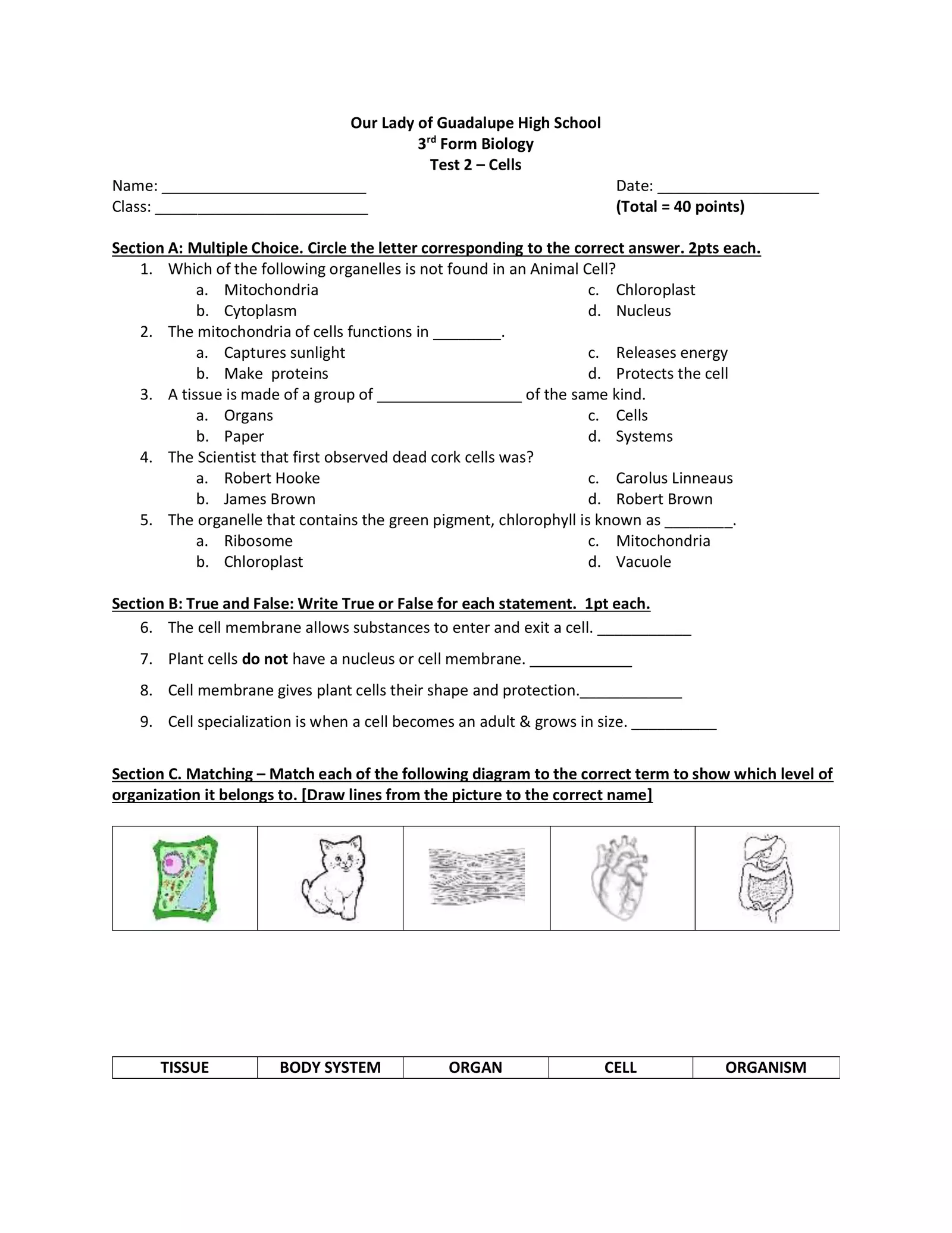 Cells Interactive Test Interactive Worksheet - Edform