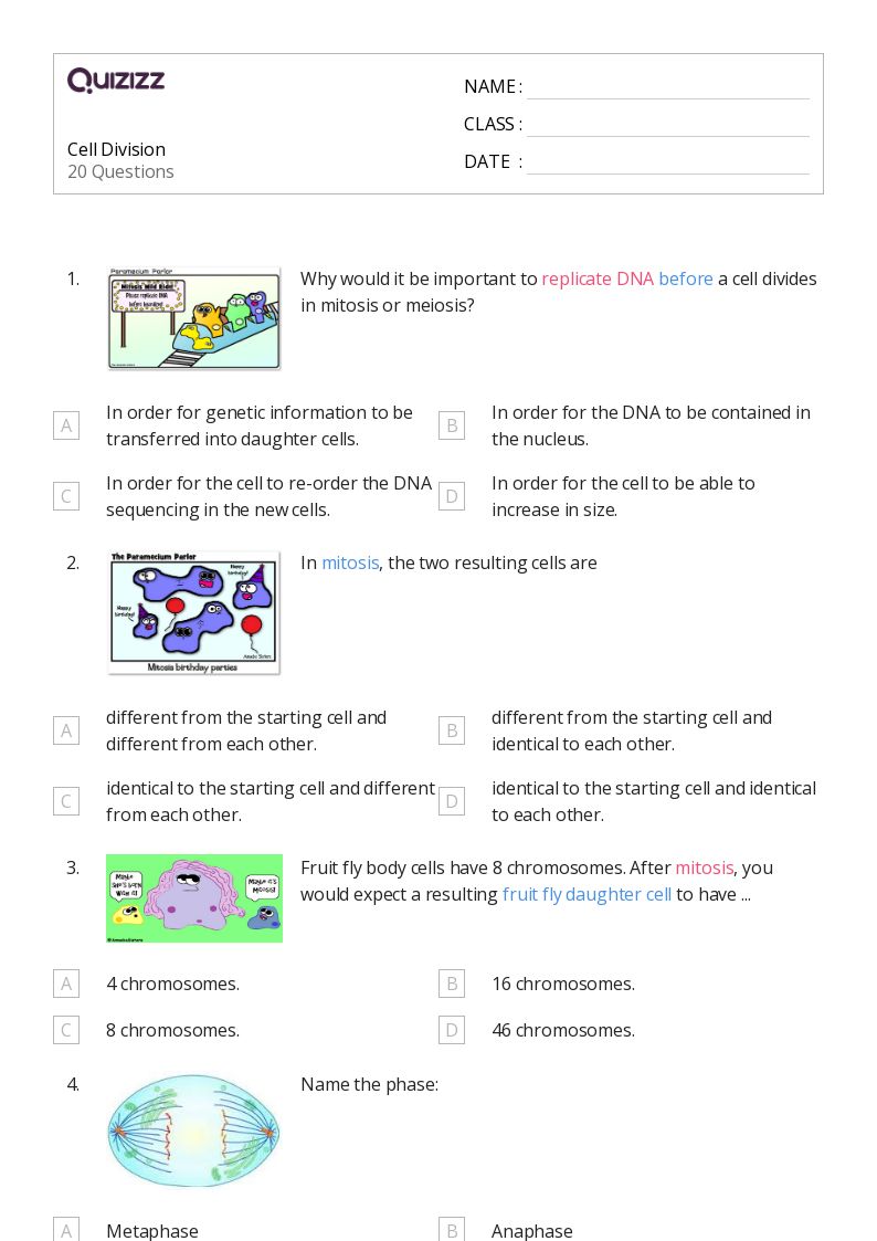 50+ cell division worksheets for 12th Grade on Quizizz | Free ...