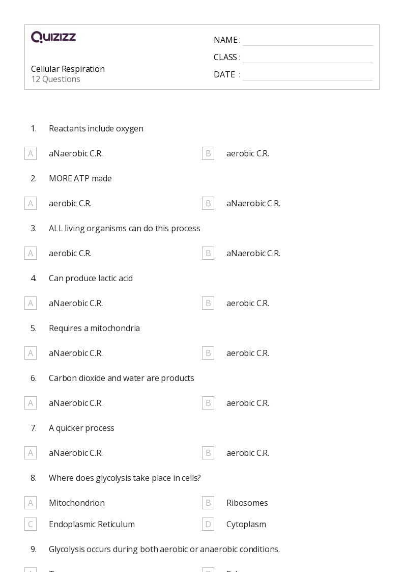 cellular respiration worksheet middle school