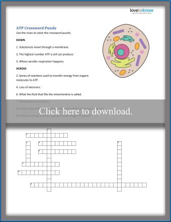 Cellular Respiration Worksheets for Middle School | LoveToKnow