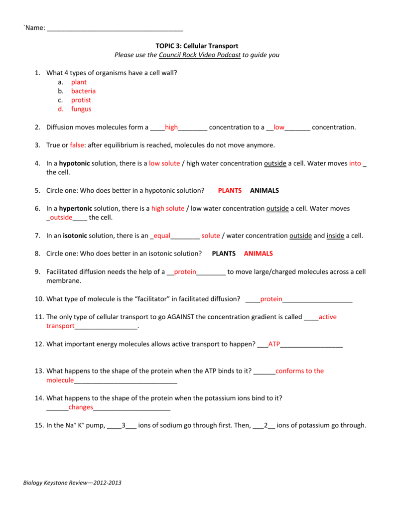 cellular transport and the cell cycle worksheet answers
