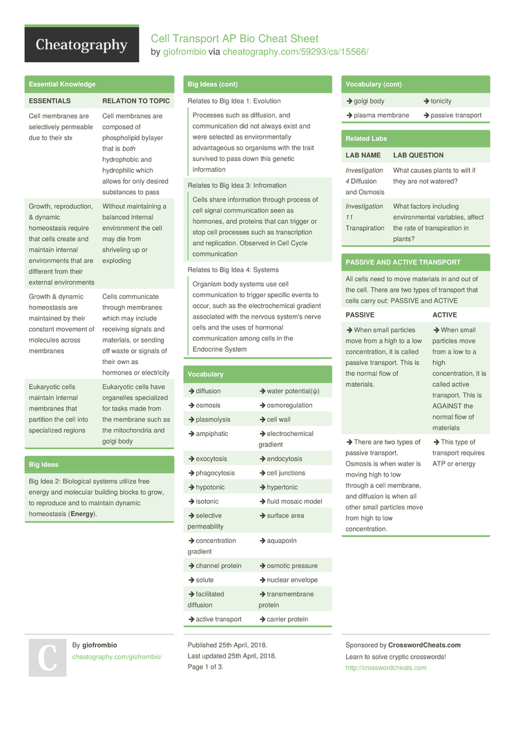 cellular transport and the cell cycle worksheet answers