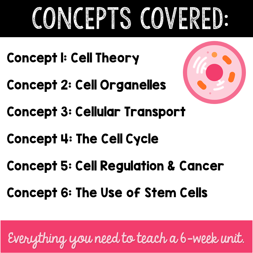 cellular transport and the cell cycle worksheet answers