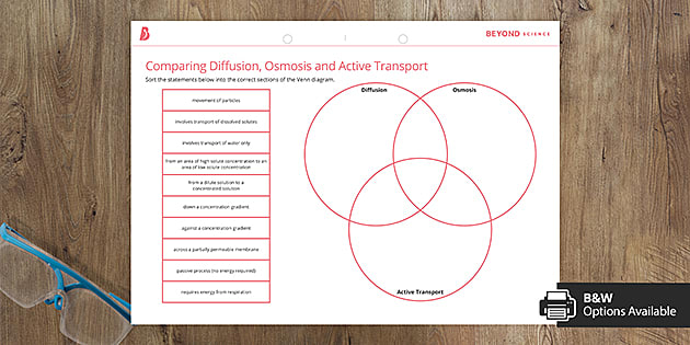 cellular transport and the cell cycle worksheet