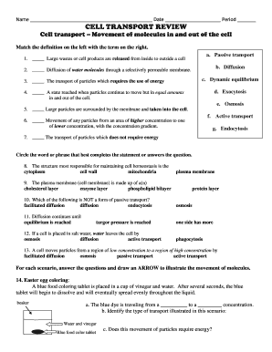 cellular transport worksheet