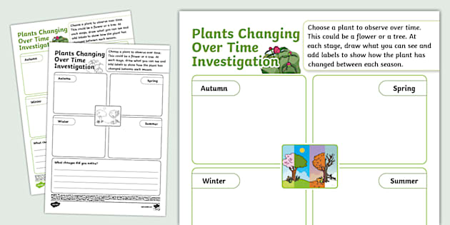 NEW * Plants Changing Over Time Investigation Worksheet
