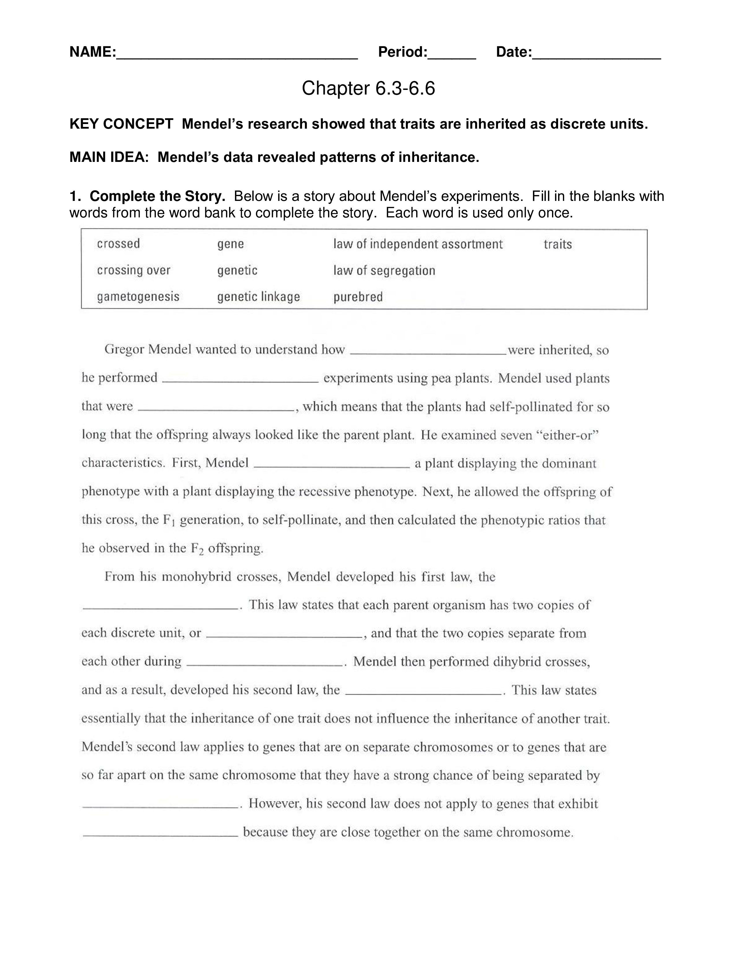 chapter 10 mendel and meiosis worksheet answers