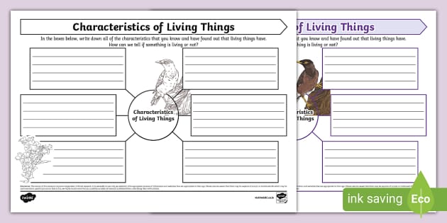 characteristics of life worksheet middle school