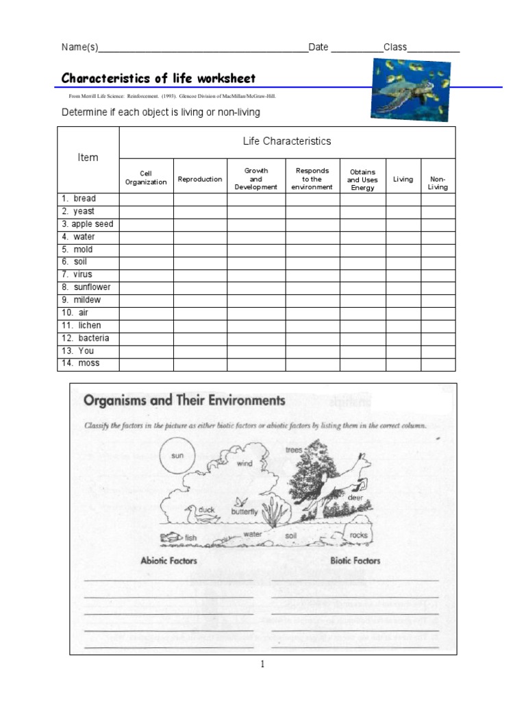 Characteristics of Life Worksheet PDF Worksheets Library