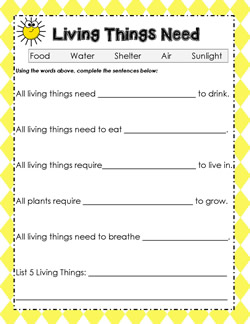 characteristics of living things worksheet middle school
