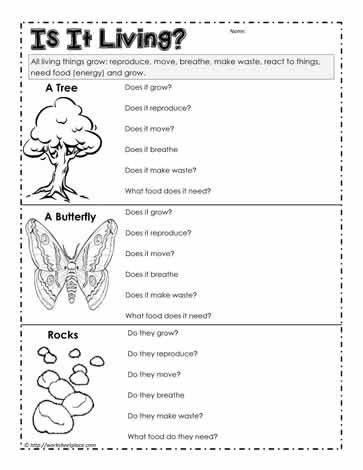 characteristics of living things worksheet