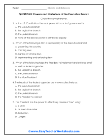 Checks and Balances Worksheets