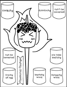Physical and Chemical Changes Sort Activity Worksheets and Craftivity