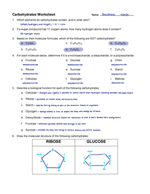 chemistry of carbohydrates worksheet