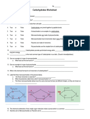 chemistry of carbohydrates worksheet