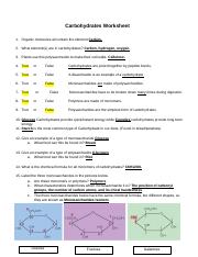 chemistry of carbohydrates worksheet