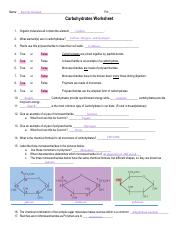 chemistry of carbohydrates worksheet
