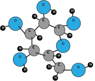 chemistry of carbohydrates worksheet
