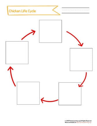 Cut And Paste | The Life Cycle of a Chicken Worksheet ...