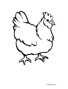 Chicken Worksheet for Kindergarten - 1st Grade | Lesson Planet