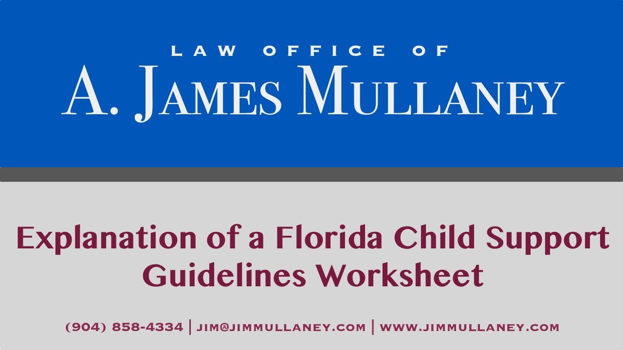 Explanation of a Florida Child Support Guidelines Worksheet | Law ...