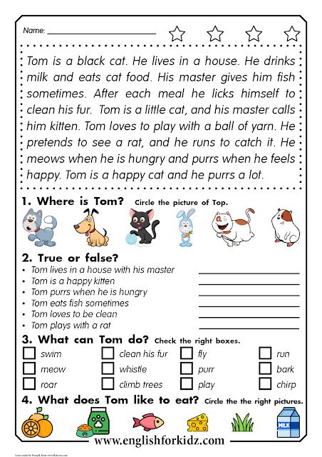 Reading Comprehension Worksheets: Thomas the Cat