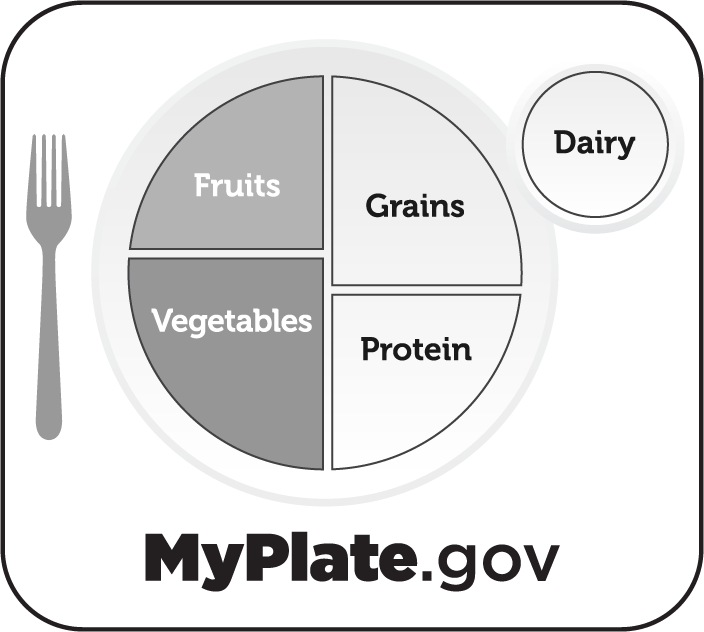 choose my plate worksheet