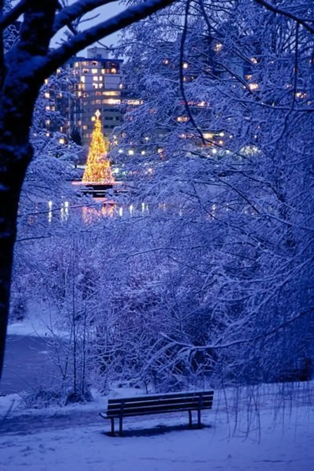 christmas scenes around the world