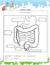 Christmas Science Activities For Kids, 1st - 6th