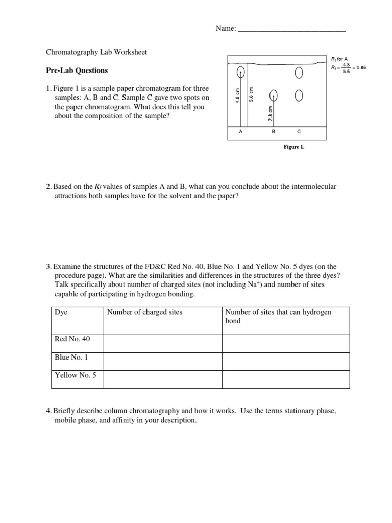 Chromatography Lab Worksheet Download Free PDF Chromatography