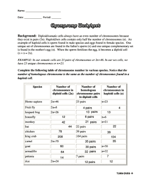 chromosome worksheet answers