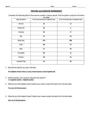 chromosome worksheet answers