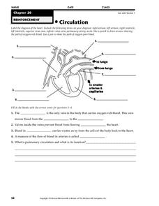 Circulation Worksheet for 9th - Higher Ed | Lesson Planet