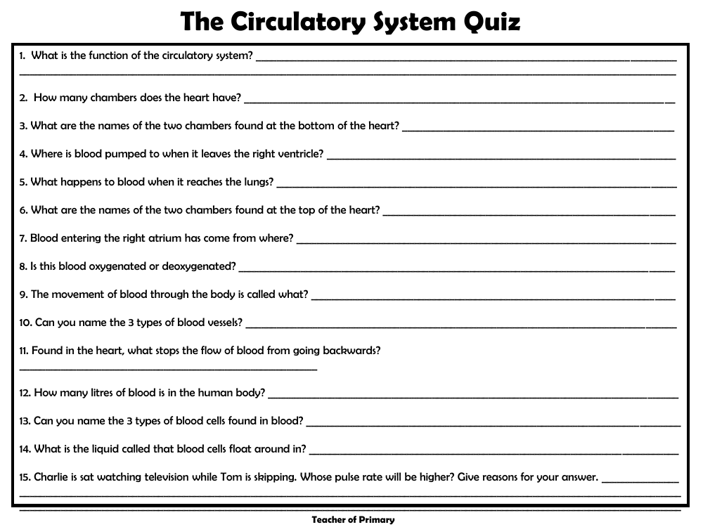 The Circulatory System - Worksheet | Science Year 6