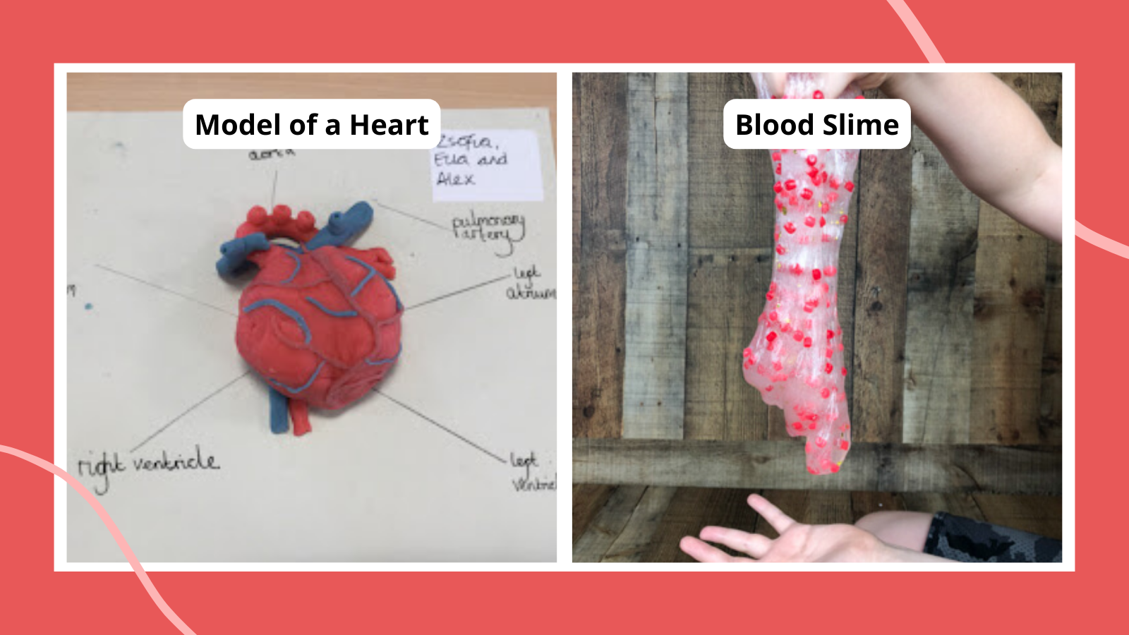 Human Body Printables Worksheets