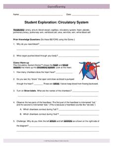 Circulatory System Worksheet for 5th - 10th Grade | Lesson Planet