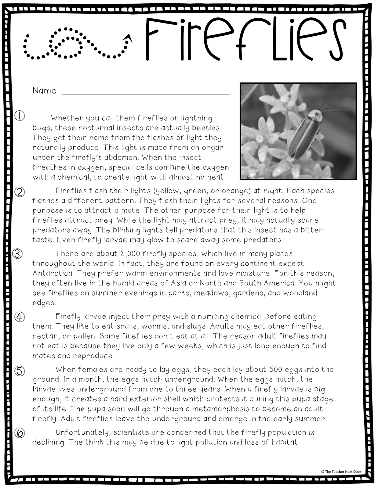 cite textual evidence worksheet